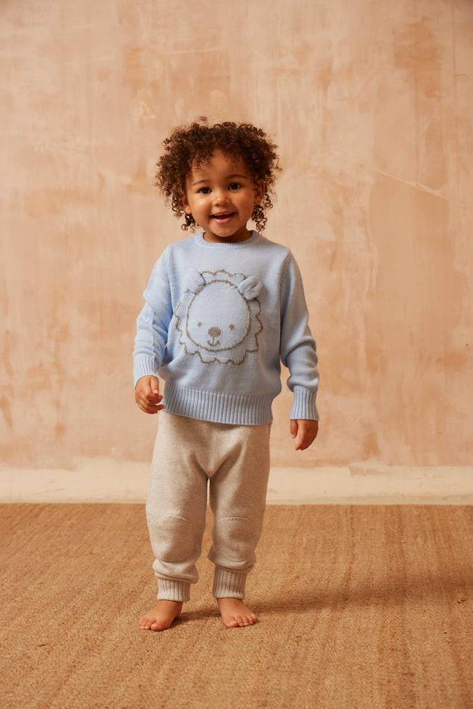 AW24 Baby Lion Jumper | Sky jumper MIKA & MILO   