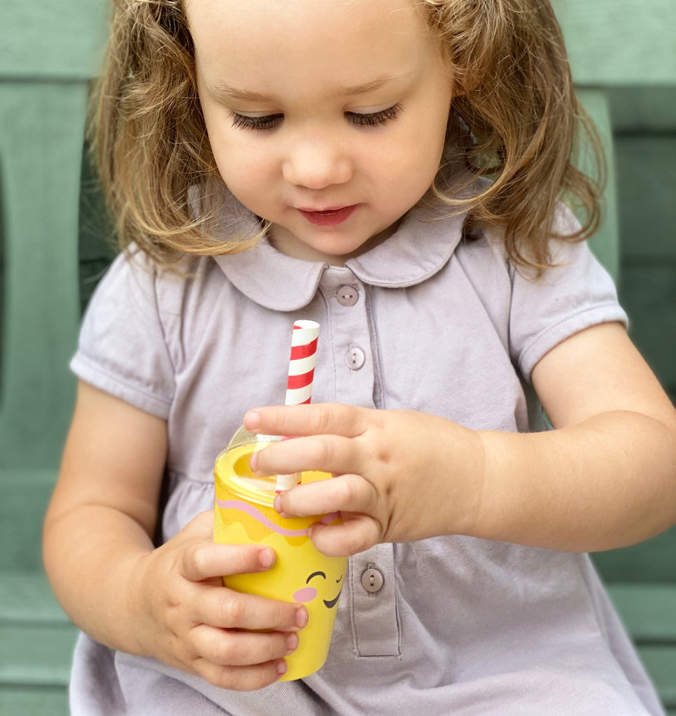 Fruity Blender Wooden pretend play Tender Leaf Toys   