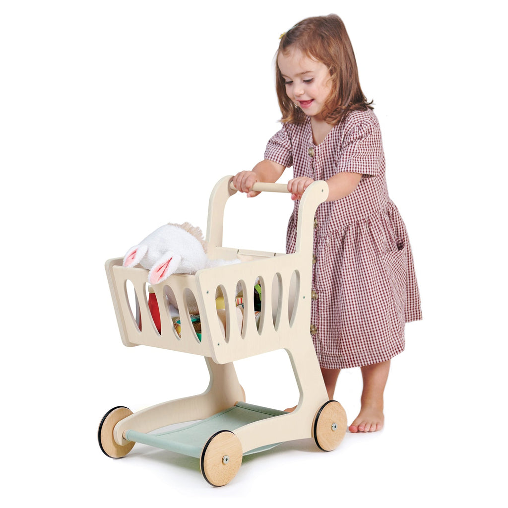 Shopping Cart wooden shopping Tender Leaf Toys   